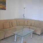 In Complex Panorama سوزوبول