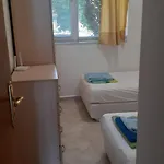 In Complex Panorama